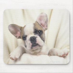 Tapis De Souris Le bouledogue, souvent appelé le bouledogue