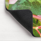 Tapis De Souris Le caméléon Mousepad de Jackson (Coin)