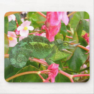 Tapis De Souris Le caméléon Mousepad de Jackson