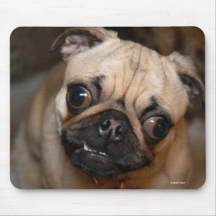 Tapis De Souris Le carlin
