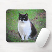TAPIS DE SOURIS LE CHAT MUSTACHE EST EN TRAIN DE REGARDER (Avec souris)