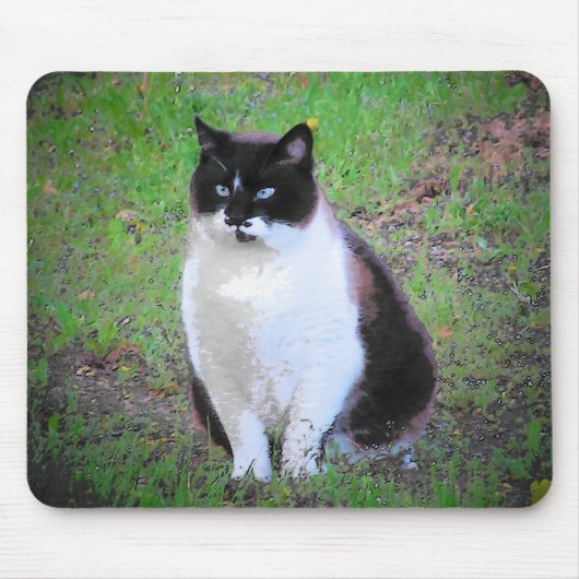 TAPIS DE SOURIS LE CHAT MUSTACHE EST EN TRAIN DE REGARDER (Devant)