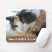 Tapis De Souris Le chat pourri Spoîné vit ici (Avec souris)