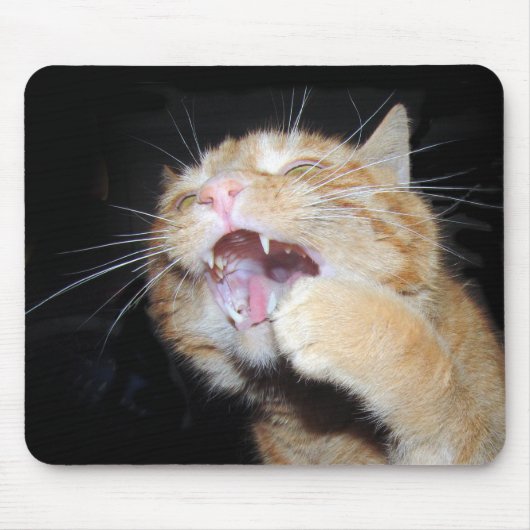 Tapis De Souris Le chat veut la souris (Devant)