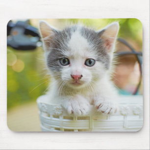 Tapis De Souris Le chaton monte un vélo