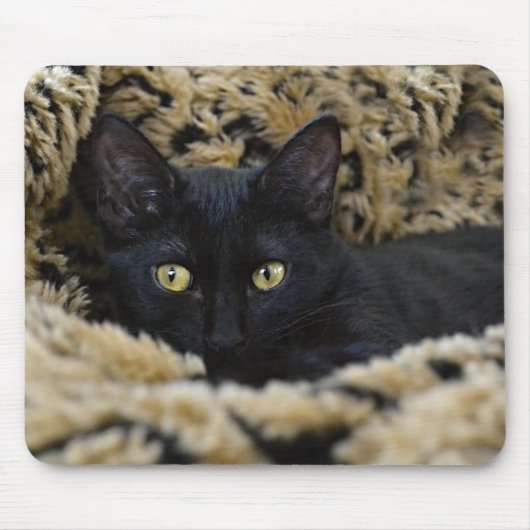 Tapis De Souris Le chaton noir (Devant)