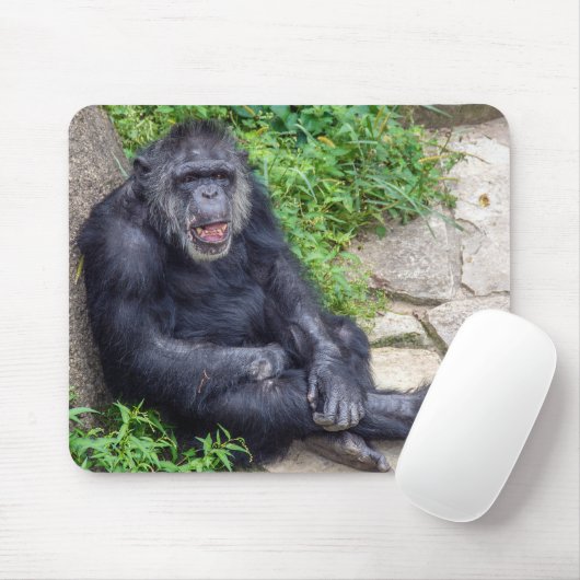 Tapis De Souris Le Chimpanzé S'Appuie Sur Le Rocher (Avec souris)