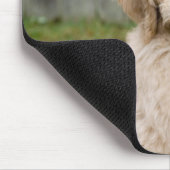 Tapis De Souris Le Chiot De Goldendoodle S'Assis Dans L'Herbe (Coin)