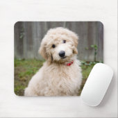 Tapis De Souris Le Chiot De Goldendoodle S'Assis Dans L'Herbe (Avec souris)