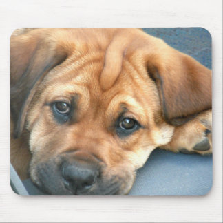 Tapis De Souris Le chiot observe Mousepad
