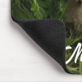 Tapis De Souris Le chou renard dans une forêt verte (Coin)