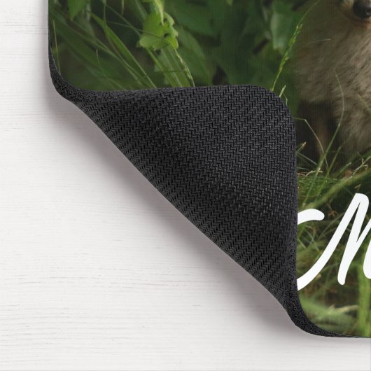 Tapis De Souris Le chou renard dans une forêt verte (Coin)