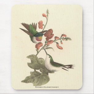 Tapis De Souris Le colibri à gorge rouge ou à gorge rubis