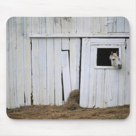Tapis De Souris Le collage de cheval dirigent la fenêtre de grange (Devant)