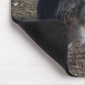 Tapis De Souris Le collier à trois couleurs (Coin)