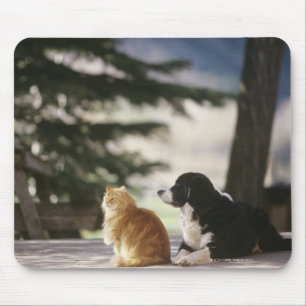 Tapis De Souris Le Colorado occidental, Etats-Unis