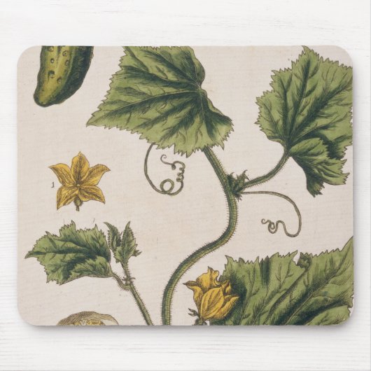 Tapis De Souris Le concombre de jardin, plaquent 4 "d'un de fines (Devant)