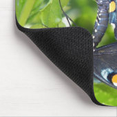 Tapis De Souris Le congrès, papillon de machaon de l'Arizona (Coin)