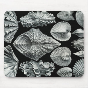 Tapis De Souris Le cru d'Ernst Haeckel écosse Mousepad