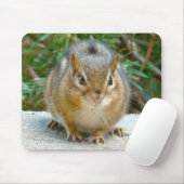 Tapis De Souris Le Cute Chipmunk A L'Oeil Sur Vous (Avec souris)
