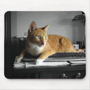 Tapis De Souris Le dactylo