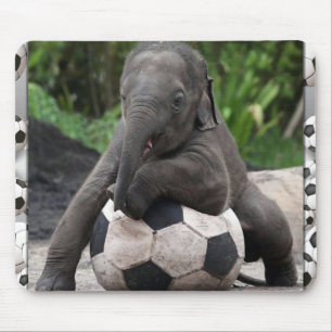 Tapis De Souris Le football d'éléphant