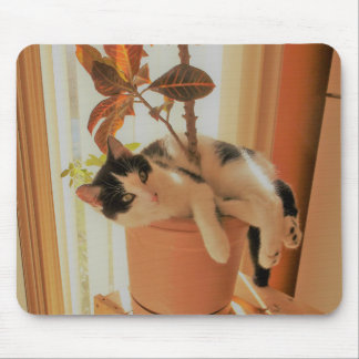 Tapis De Souris Le grignoteur est Catnipping