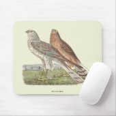 Tapis De Souris Le harceleur du Nord (Buse à queue annelée) NY Bir (Avec souris)