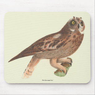 Tapis De Souris Le hibou à oreilles courtes (Otus palustris) New Y
