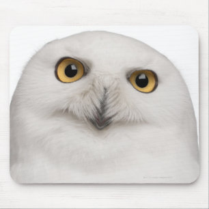 Tapis De Souris le hibou masculin de Milou (scandiacus de Bubo)