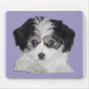 Tapis De Souris Le Jersey Cavachon Mousepad