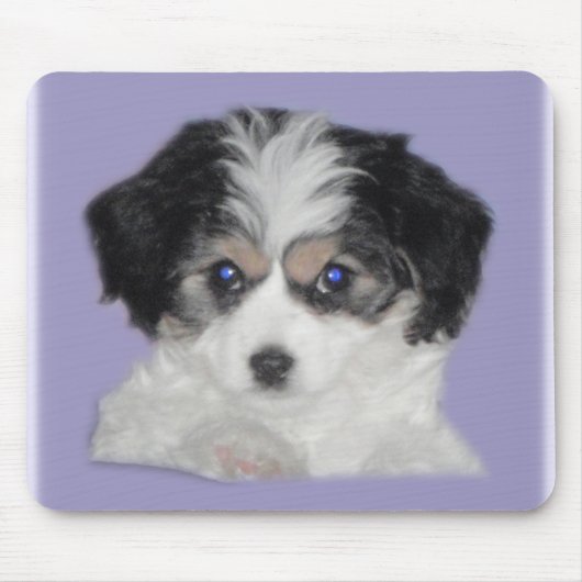 Tapis De Souris Le Jersey Cavachon Mousepad (Devant)