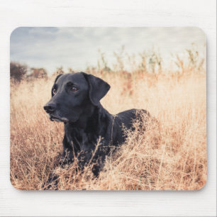 Tapis De Souris Le Labrador Noir En Graine Sèche