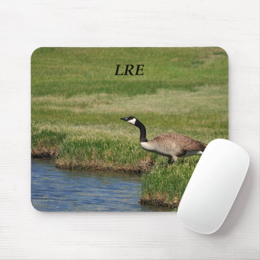 Tapis De Souris Le lac Riverside Estates Mousepad (Avec souris)