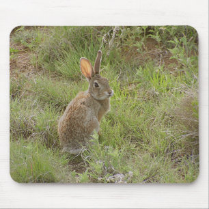 Tapis De Souris Le lapin regarde au-dessus de l'épaule