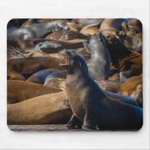 Tapis De Souris Le Lion de mer au bâton - Photographie
