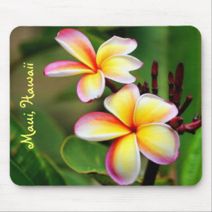 Tapis De Souris Le Plumeria de Maui fleurit Mousepad