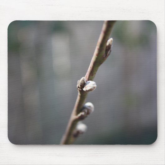 Tapis De Souris Le printemps arrive (Devant)