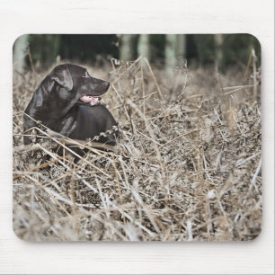 Tapis De Souris Le R-U, Angleterre, Suffolk, forêt de Thetford,