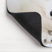 Tapis De Souris Le renard polaire blanc le plus mignon qui vous re (Coin)