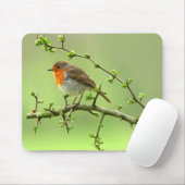 Tapis De Souris Le Robin (Avec souris)