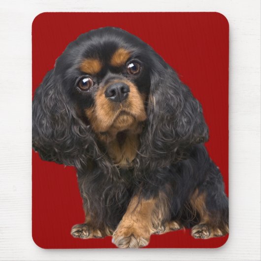 Tapis De Souris Le roi Charles Spaniel Mousepad (Devant)