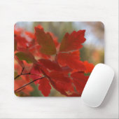 Tapis De Souris Le rouge laisse Mousepad (Avec souris)