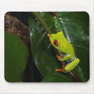 Tapis De Souris Le rouge observe la grenouille sur la tige