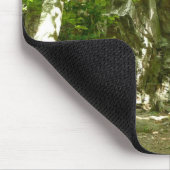 Tapis De Souris Le sentier de découverte Frazier à Shenandoah Phot (Coin)