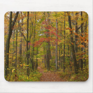 Tapis De Souris Le sentier Laurel Hill à l'automne