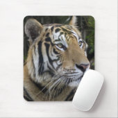 Tapis De Souris Le tigre songeur clôturent Mousepad (Avec souris)
