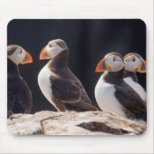 Tapis De Souris Le troupeau des macareux (Devant)