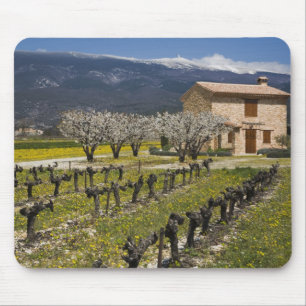 Tapis De Souris Le vignoble dormant, fruit fleurit, la maison en
