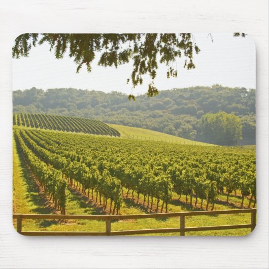 Tapis De Souris Le vignoble et une vallée avec une forêt - (Devant)
